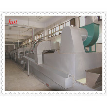 Dw Mesh Belt Dryer for Instant Vegetable